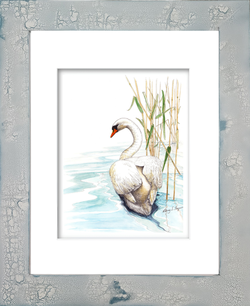 Rodney's Mute Swan watercolor giclée print displayed in a handmade coastal frame with distressed and crackled finish, featuring unique textures, weathered patterns, and artisan craftsmanship. No two frames are alike.
