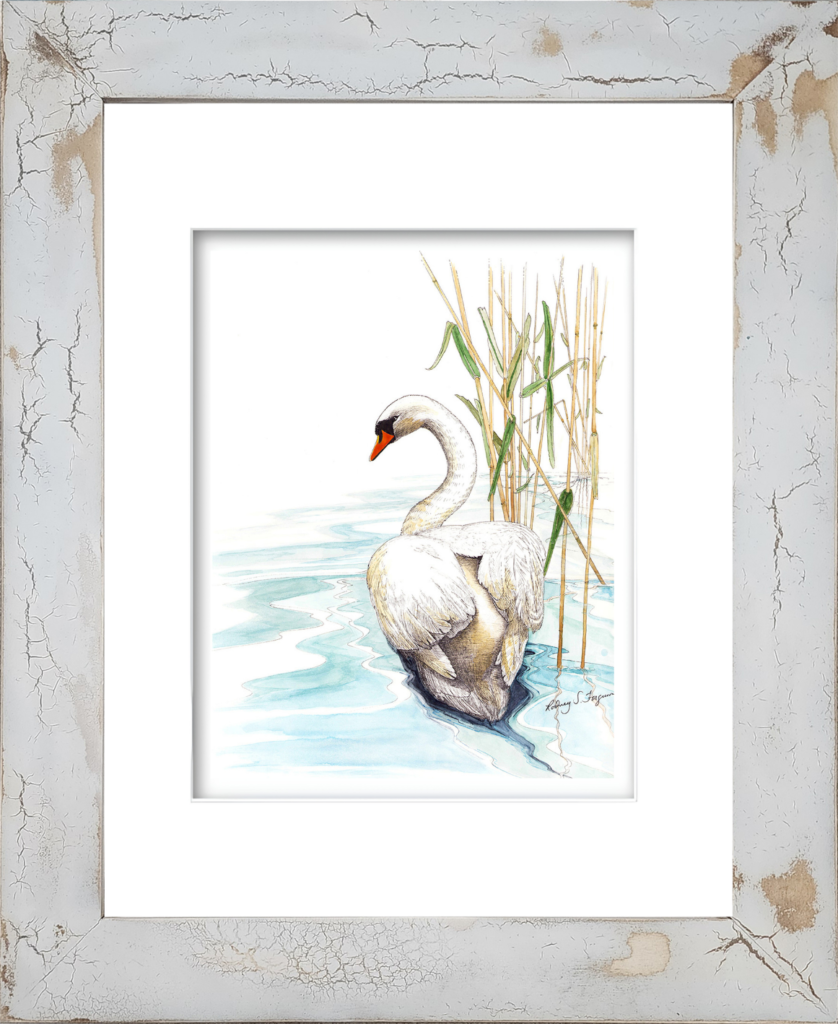 Rodney's Mute Swan watercolor giclée print displayed in a handmade coastal frame with distressed and crackled finish, featuring unique textures, weathered patterns, and artisan craftsmanship. No two frames are alike.