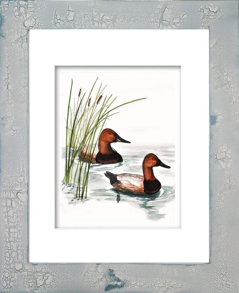 Rodney Ferguson watercolor giclée print featuring two Canvasback ducks mounted in a handmade distressed and crackled coastal wood frame, showcasing unique texture, weathered finishes, and artisan craftsmanship.