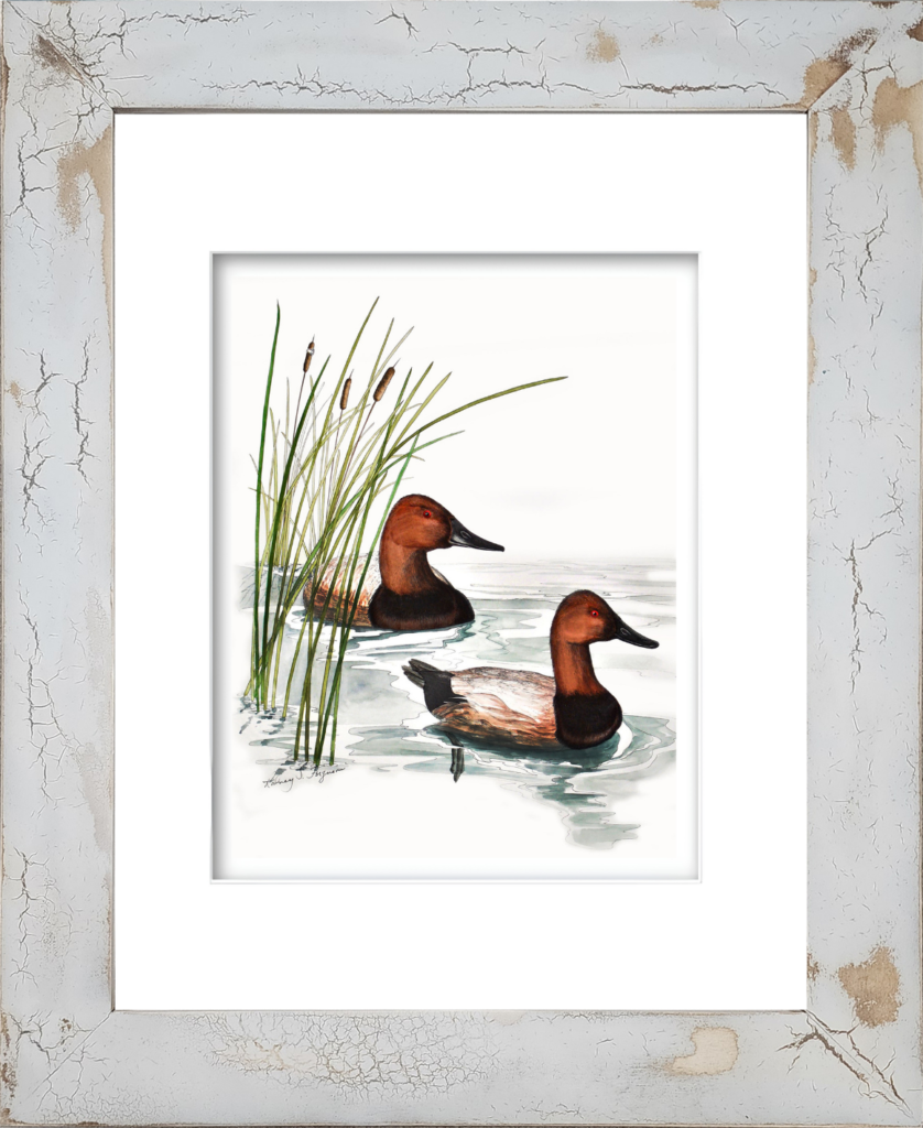 Rodney Ferguson watercolor giclée print featuring two Canvasback ducks mounted in a handmade distressed and crackled coastal wood frame, showcasing unique texture, weathered finishes, and artisan craftsmanship.