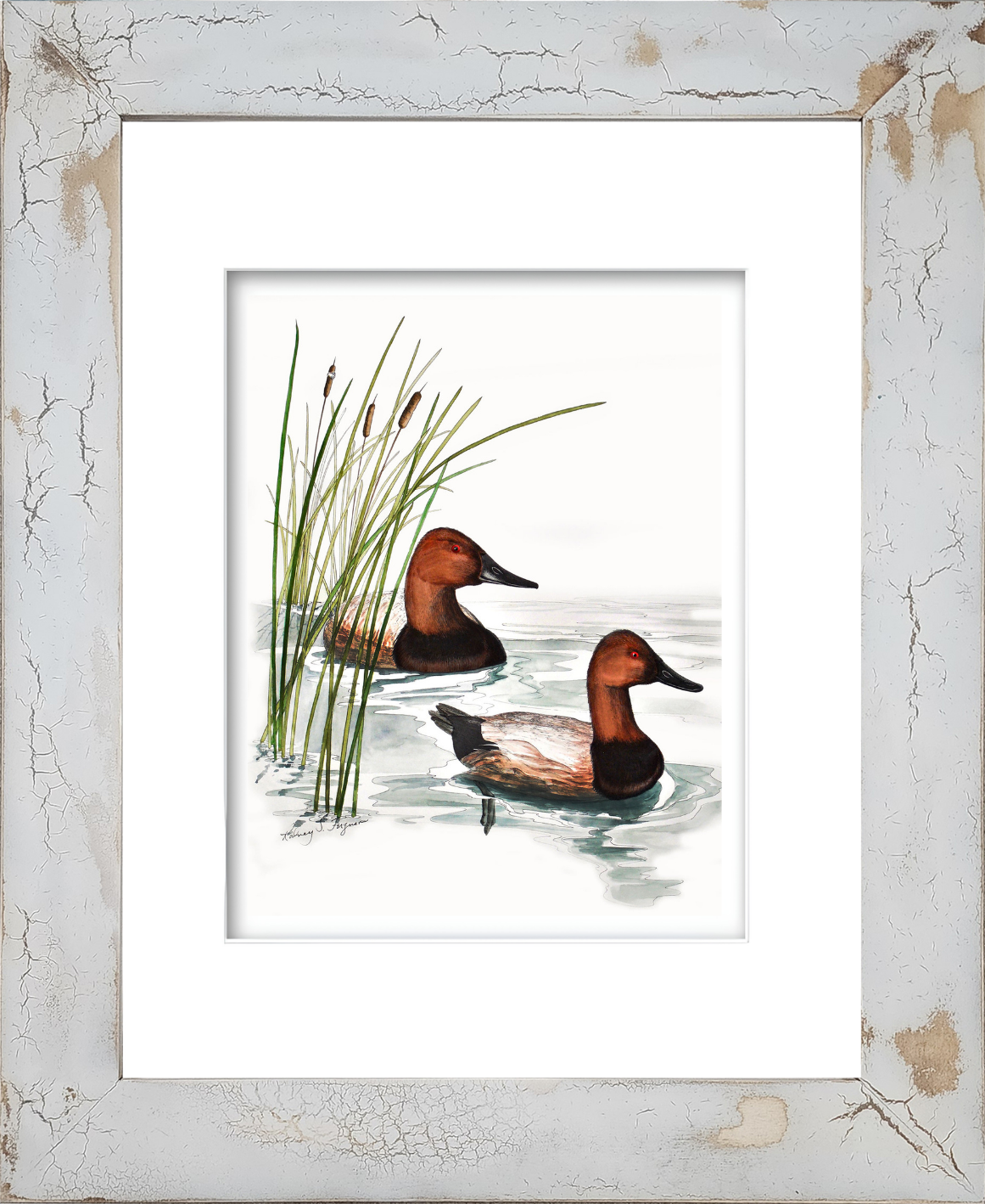 Rodney Ferguson watercolor giclée print featuring two Canvasback ducks mounted in a handmade distressed and crackled coastal wood frame, showcasing unique texture, weathered finishes, and artisan craftsmanship.