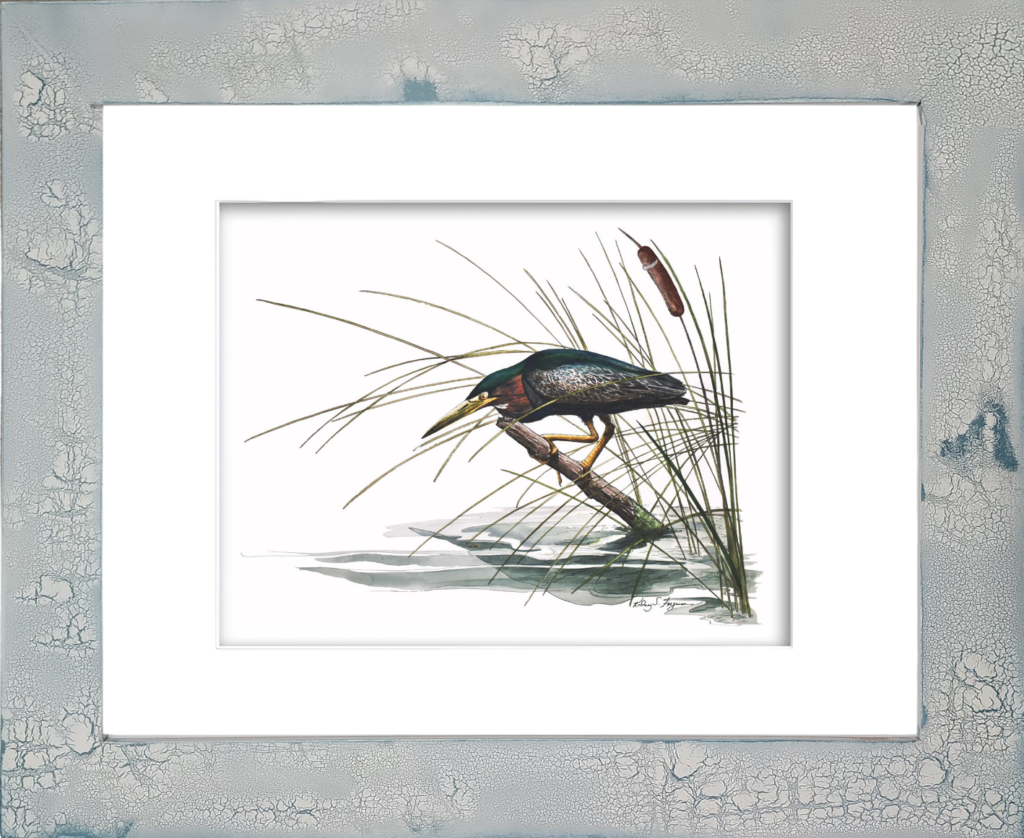 Green Night Heron stalking prey in a coastal marsh watercolor giclée print by Rodney Ferguson, professionally mounted in a handmade distressed and crackled coastal wood frame. Each frame is individually handcrafted with unique textures, weathered finishes, and crackled details, making every framed artwork one of a kind.