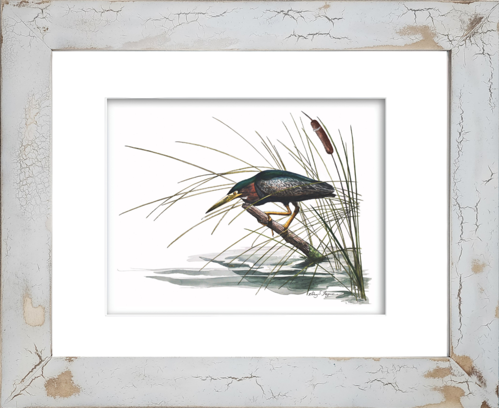 Green Night Heron stalking prey in a coastal marsh watercolor giclée print by Rodney Ferguson, professionally mounted in a handmade distressed and crackled coastal wood frame. Each frame is individually handcrafted with unique textures, weathered finishes, and crackled details, making every framed artwork one of a kind.