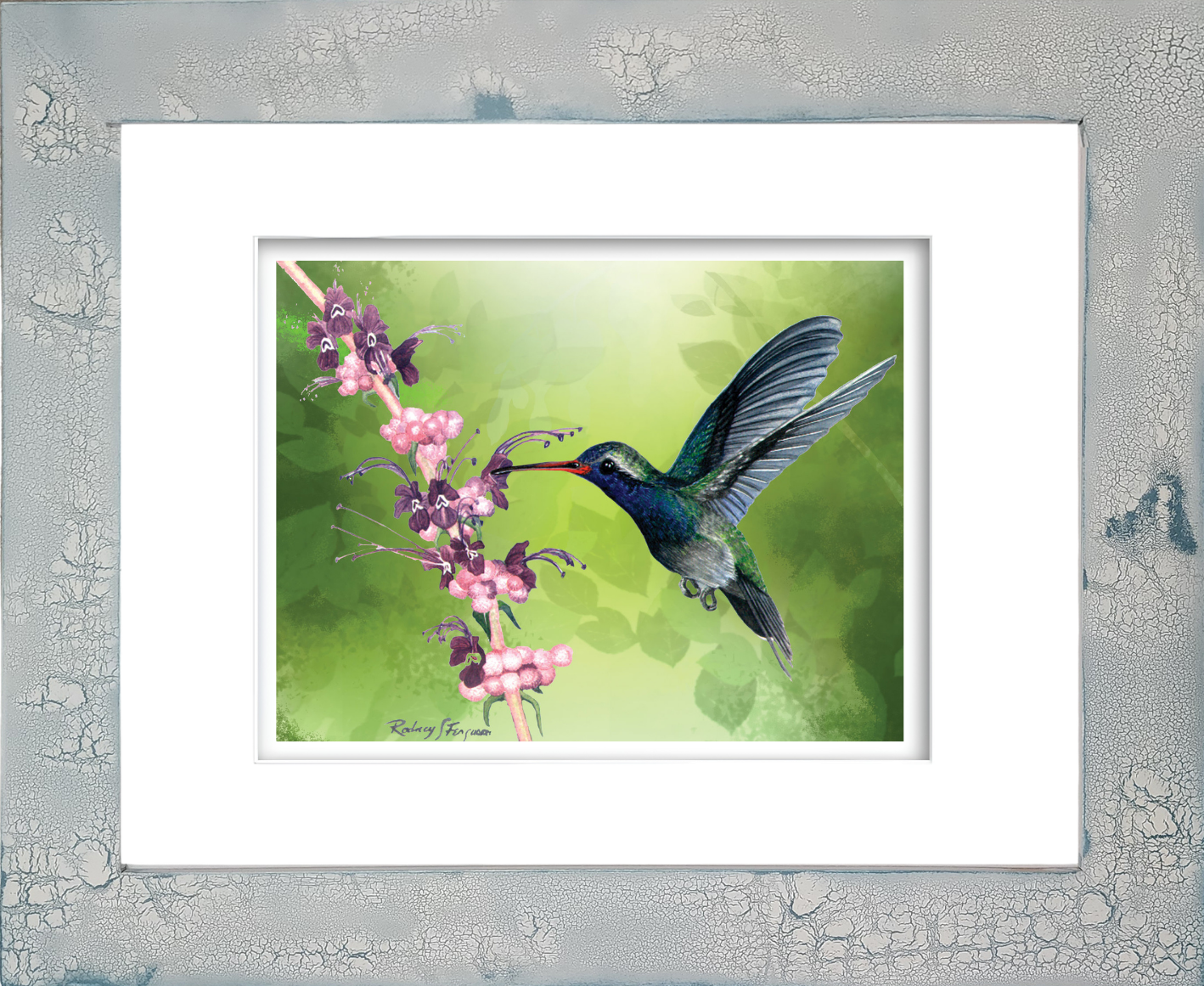 Purple-Sided hummingbird watercolor giclée print by Rodney Ferguson featuring a vibrant hummingbird feeding from pink and purple puff flowers, displayed in a handmade distressed coastal frame with crackled finish, unique texture, and one-of-a-kind artisan craftsmanship.