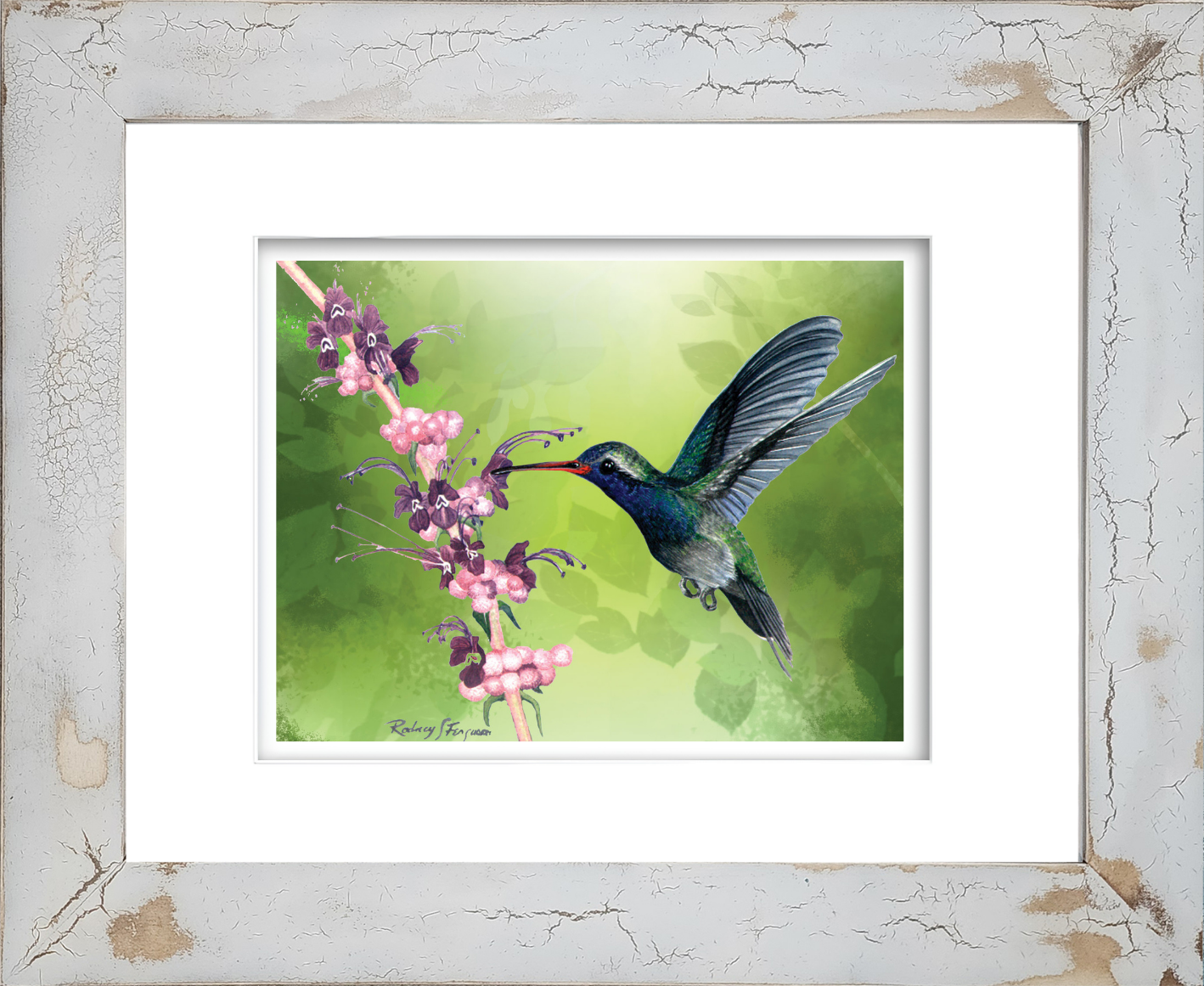 Purple-Sided hummingbird watercolor giclée print by Rodney Ferguson featuring a vibrant hummingbird feeding from pink and purple puff flowers, displayed in a handmade distressed coastal frame with crackled finish, unique texture, and one-of-a-kind artisan craftsmanship.