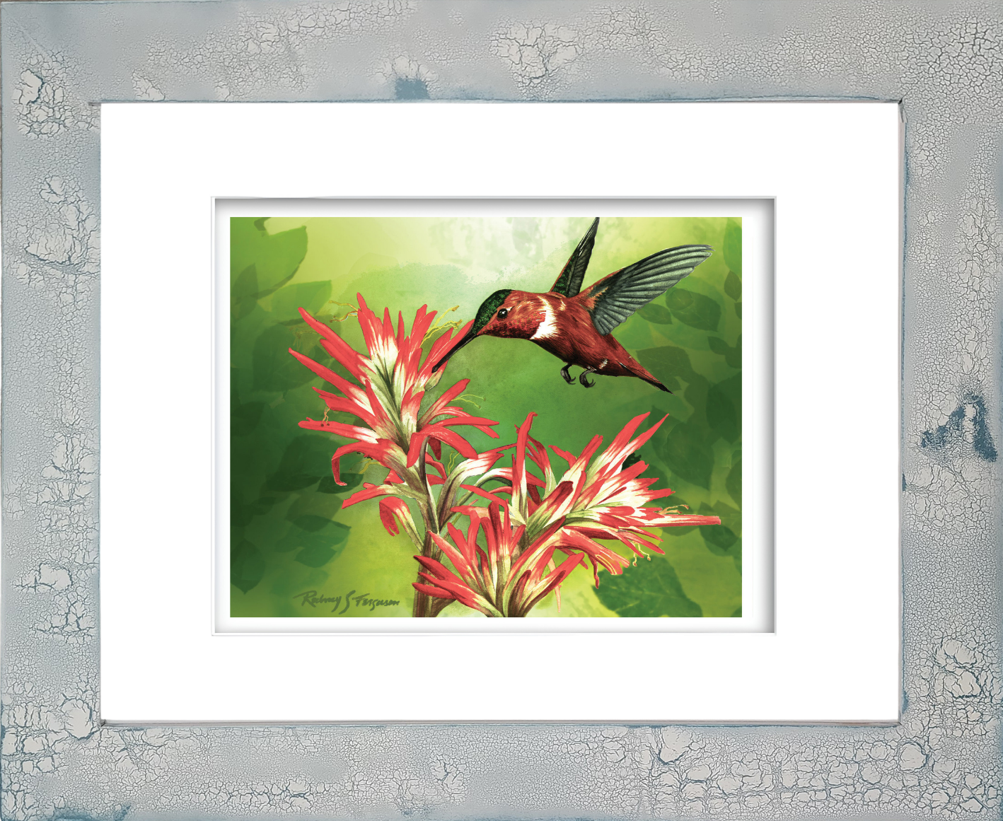 Rufous hummingbird watercolor giclée print feeding from vibrant orange-red firecracker flowers, professionally mounted in a distressed and crackled handmade coastal wood frame, featuring unique artisan textures and coastal-inspired finishes.