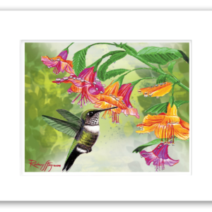 Matted watercolor giclée print of a female Ruby-Throated Hummingbird feeding from orange and pink trumpet flowers by Rodney Ferguson, featuring vibrant botanical details, wildlife art, and professional archival matting for display or custom framing.