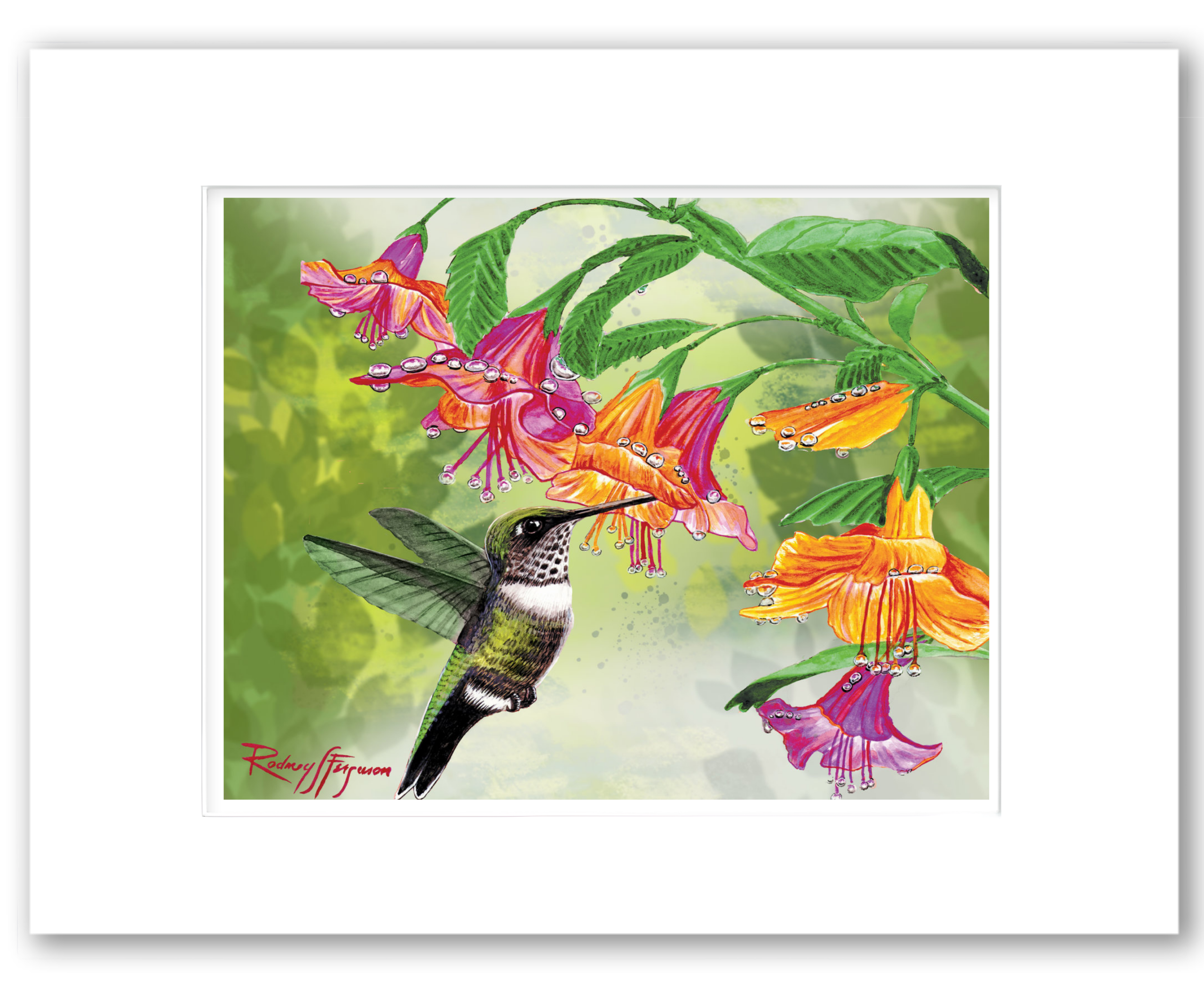 Female Ruby-Throat Hummingbird