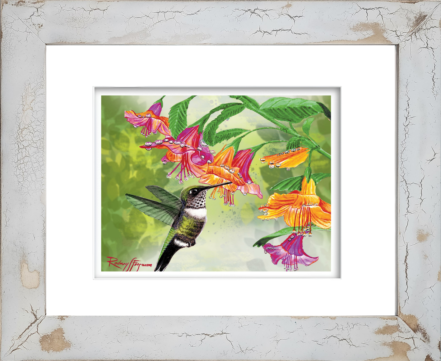 Female Ruby-Throated Hummingbird watercolor giclée print by Rodney Ferguson featuring a delicate hummingbird feeding from vibrant pink and orange trumpet flowers, mounted in a handmade distressed coastal frame with crackled finish, showcasing fine watercolor detail, coastal cottage décor, bird wildlife art, and nature-inspired craftsmanship.