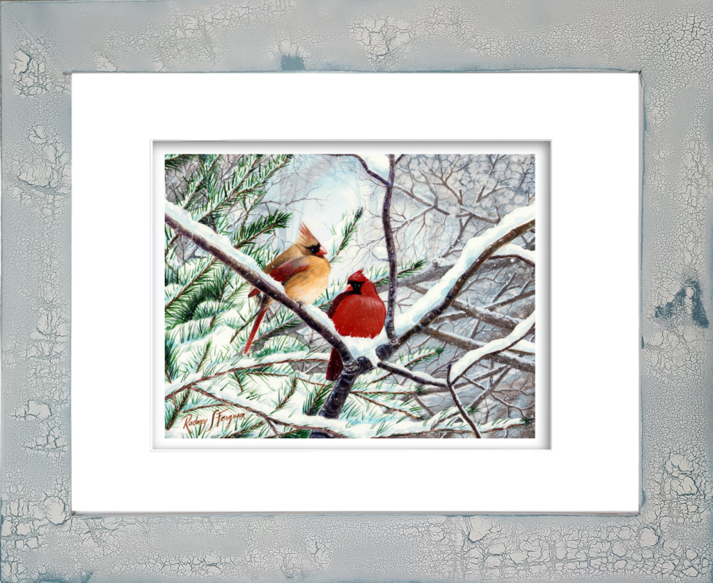 Watercolor giclée print of a pair of mating Northern Cardinals huddled together on a snowy winter branch, featuring vivid red plumage and delicate watercolor detail, mounted in Rodney Ferguson's handmade distressed and crackled coastal frame.