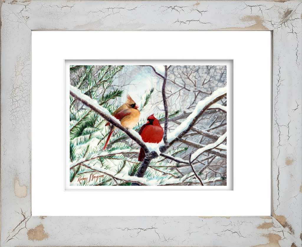 Watercolor giclée print of a pair of mating Northern Cardinals huddled together on a snowy winter branch, featuring vivid red plumage and delicate watercolor detail, mounted in Rodney Ferguson's handmade distressed and crackled coastal frame.