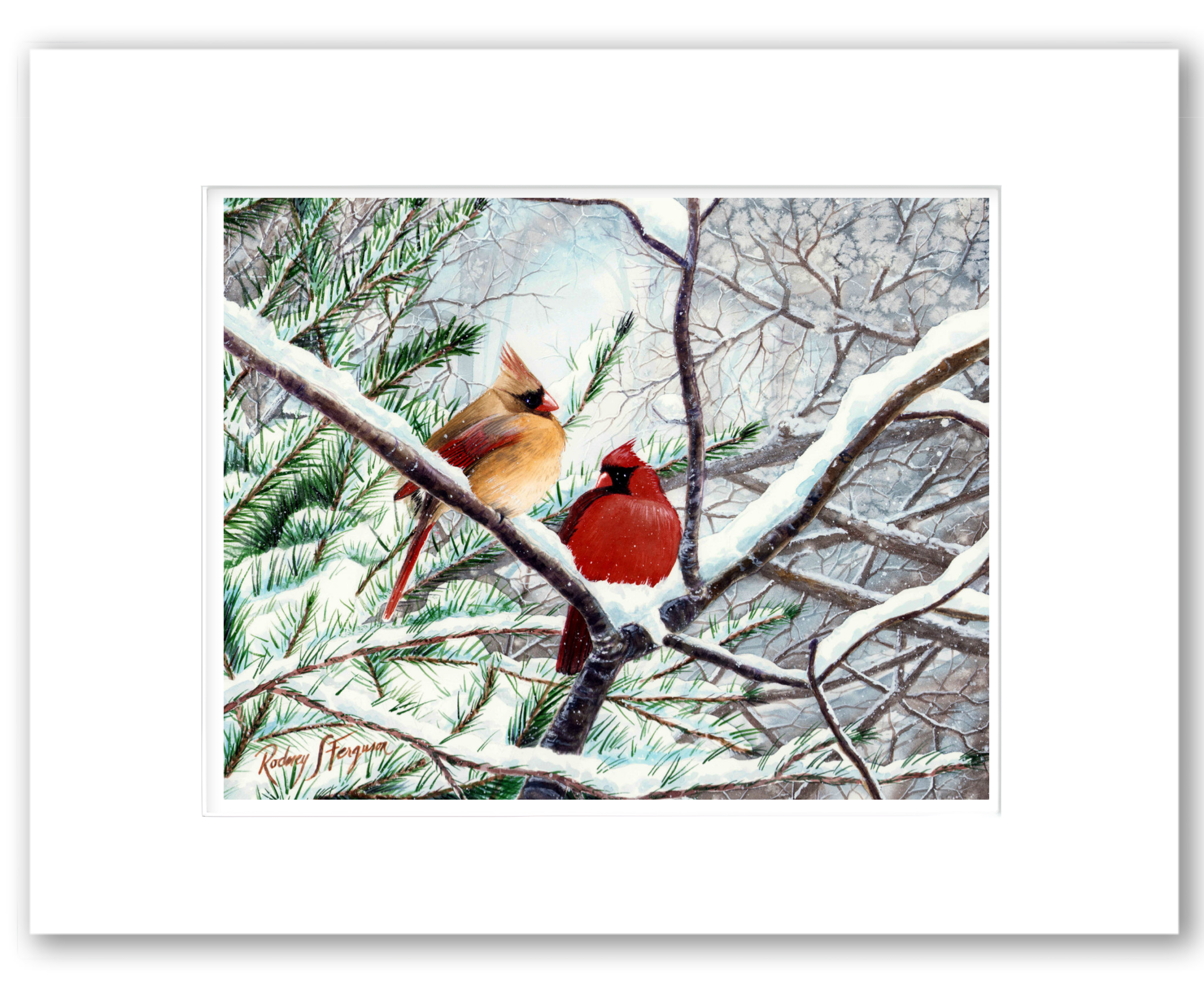 Watercolor giclée print of two mating Northern Cardinals perched together in winter, professionally matted and printed on archival, acid-free, colorfast paper with exceptional detail and vibrant colors.
