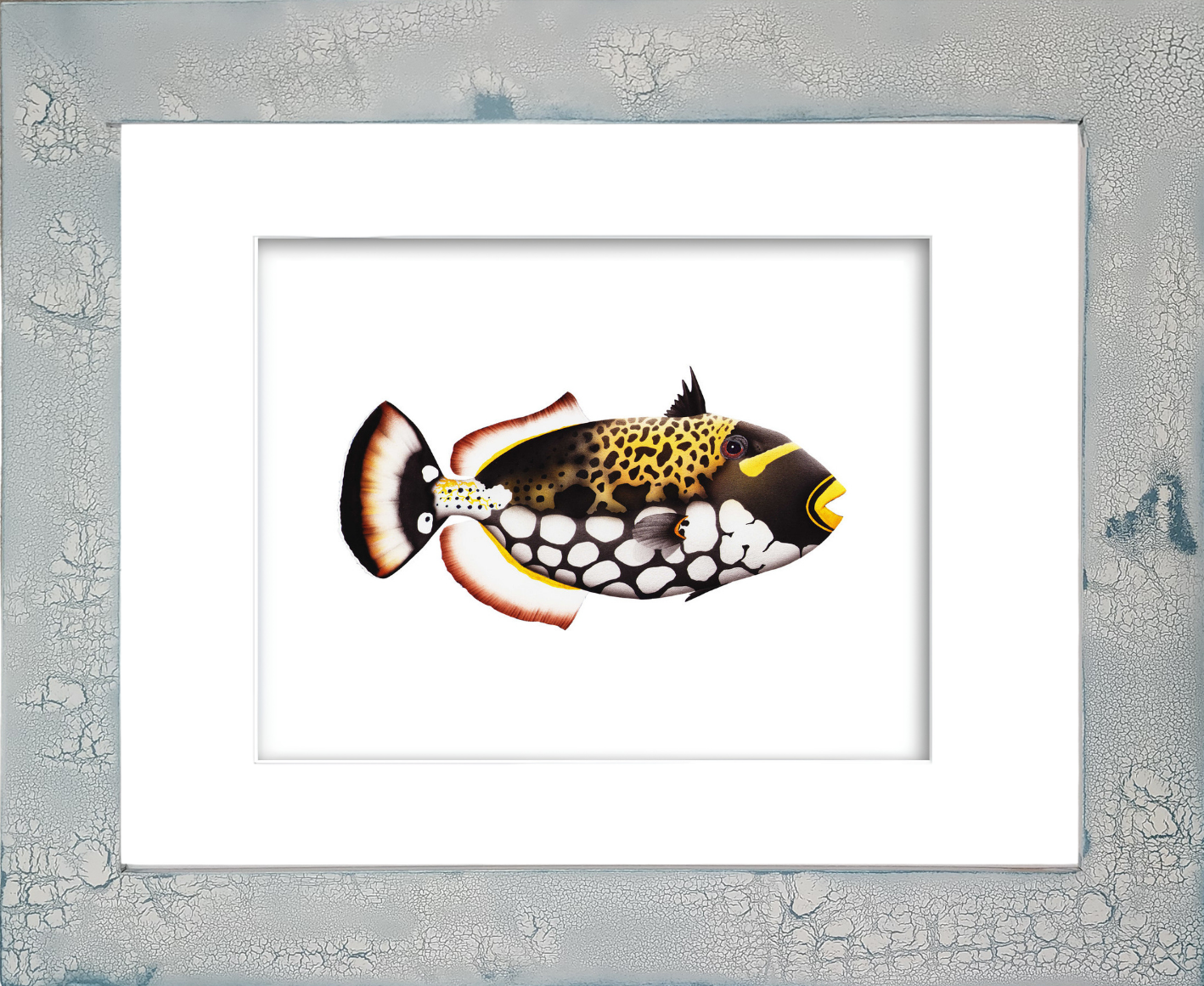 Rodney Ferguson Clown Triggerfish watercolor giclée print featuring vibrant yellow fins, yellow striped markings, black and white spotted body, and yellow lips, displayed in a distressed crackled handmade coastal wood frame, tropical marine fish artwork.