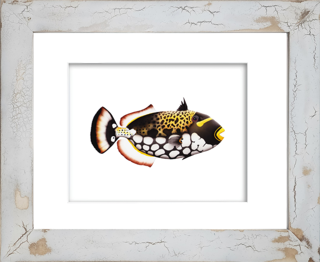 Rodney Ferguson Clown Triggerfish watercolor giclée print featuring vibrant yellow fins, yellow striped markings, black and white spotted body, and yellow lips, displayed in a distressed crackled handmade coastal wood frame, tropical marine fish artwork.