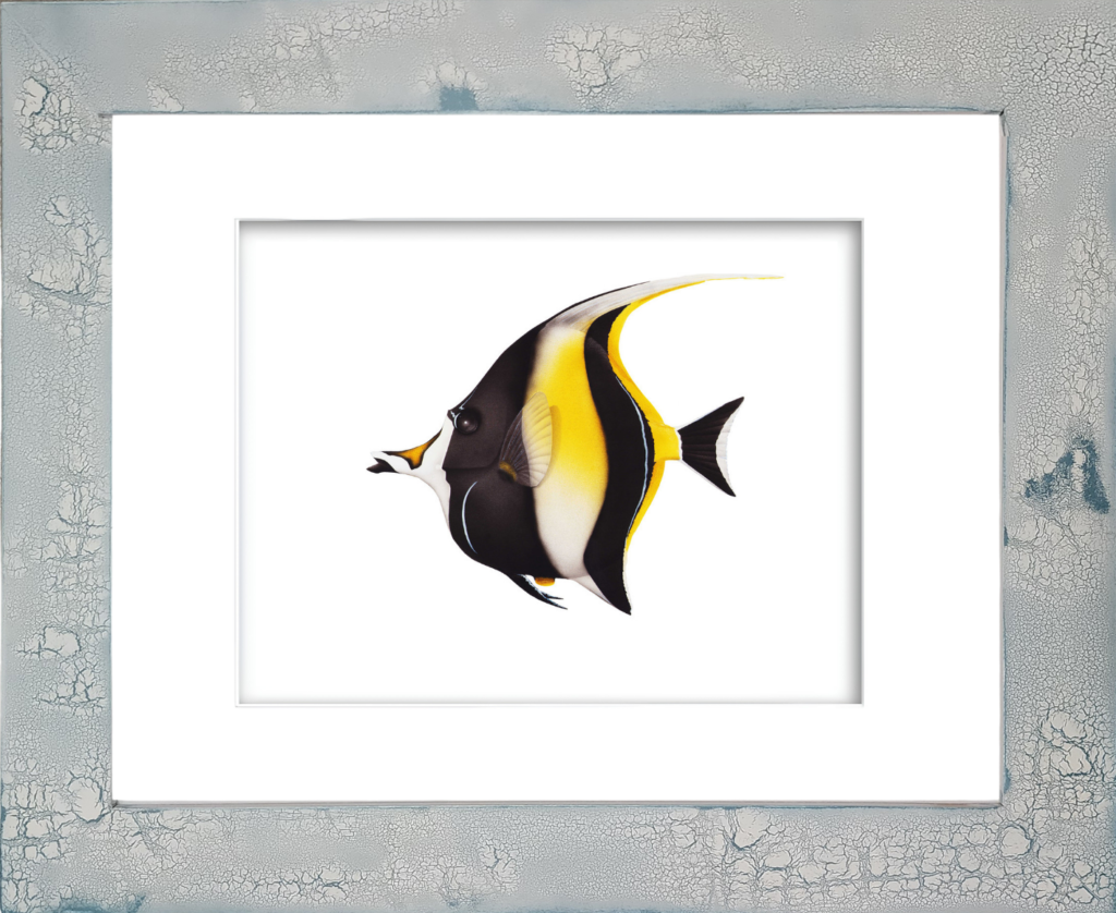 Rodney'swatercolor giclée print of a vibrant Moorish Idol tropical reef fish featuring distinctive black, white, and yellow markings, elongated dorsal streamer, and protruding snout, mounted in a distressed crackled handmade coastal frame with unique weathered texture and seaside-inspired craftsmanship.