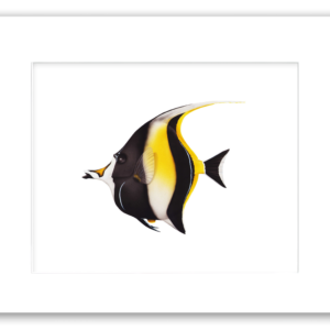 Rodney Ferguson's Moorish Idol watercolor giclée print featuring a tropical reef fish with bold black, white, and yellow markings, elegantly displayed with a professional archival mat on acid-free backing for coastal and marine-inspired décor.
