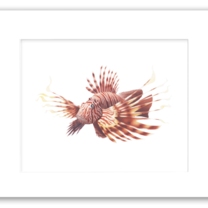 Rodney Ferguson Scorpion Fish watercolor giclee print featuring a highly detailed invasive reef fish with delicate winged barbs, dramatic fins, and striking camouflage patterns, mounted in a distressed and crackled handmade coastal frame. Coastal marine wall art inspired by tropical ocean ecosystems and underwater wildlife.