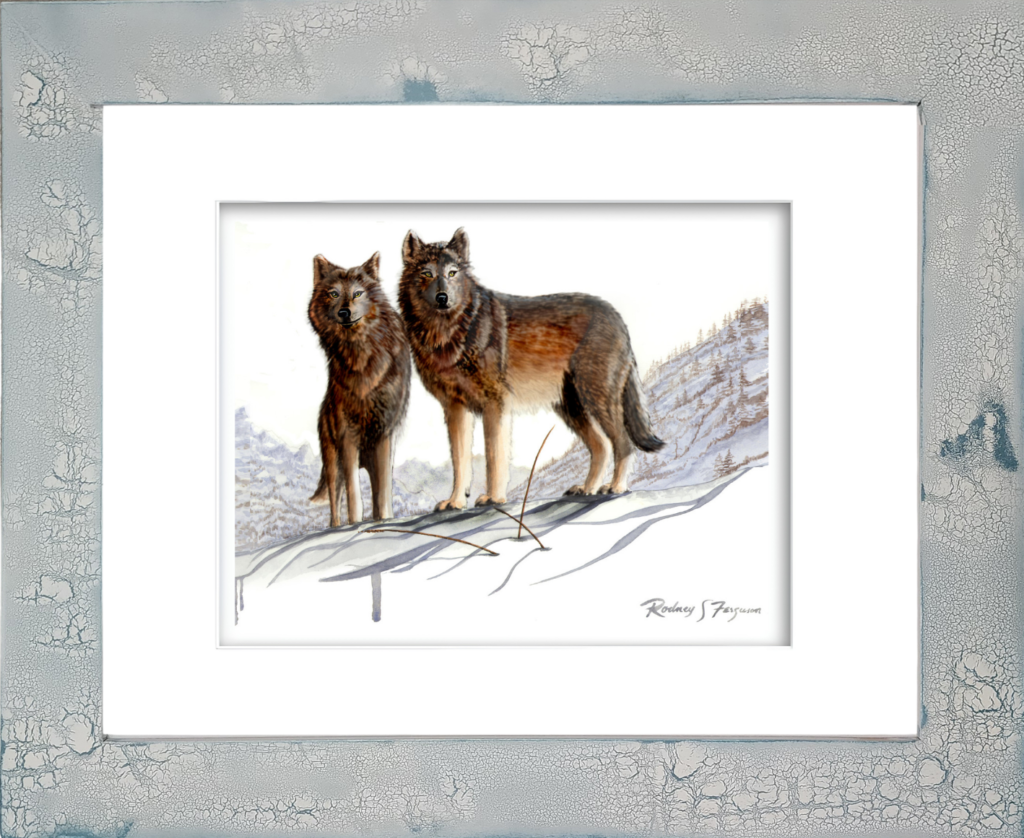 Watercolor giclée print of Alpha Timber Wolves, a male and female pair standing together on a vast Arctic tundra overlooking the landscape while watching for prey. Artwork by Rodney Ferguson, presented in a distressed and crackled handmade coastal frame with unique texture and weathered character.