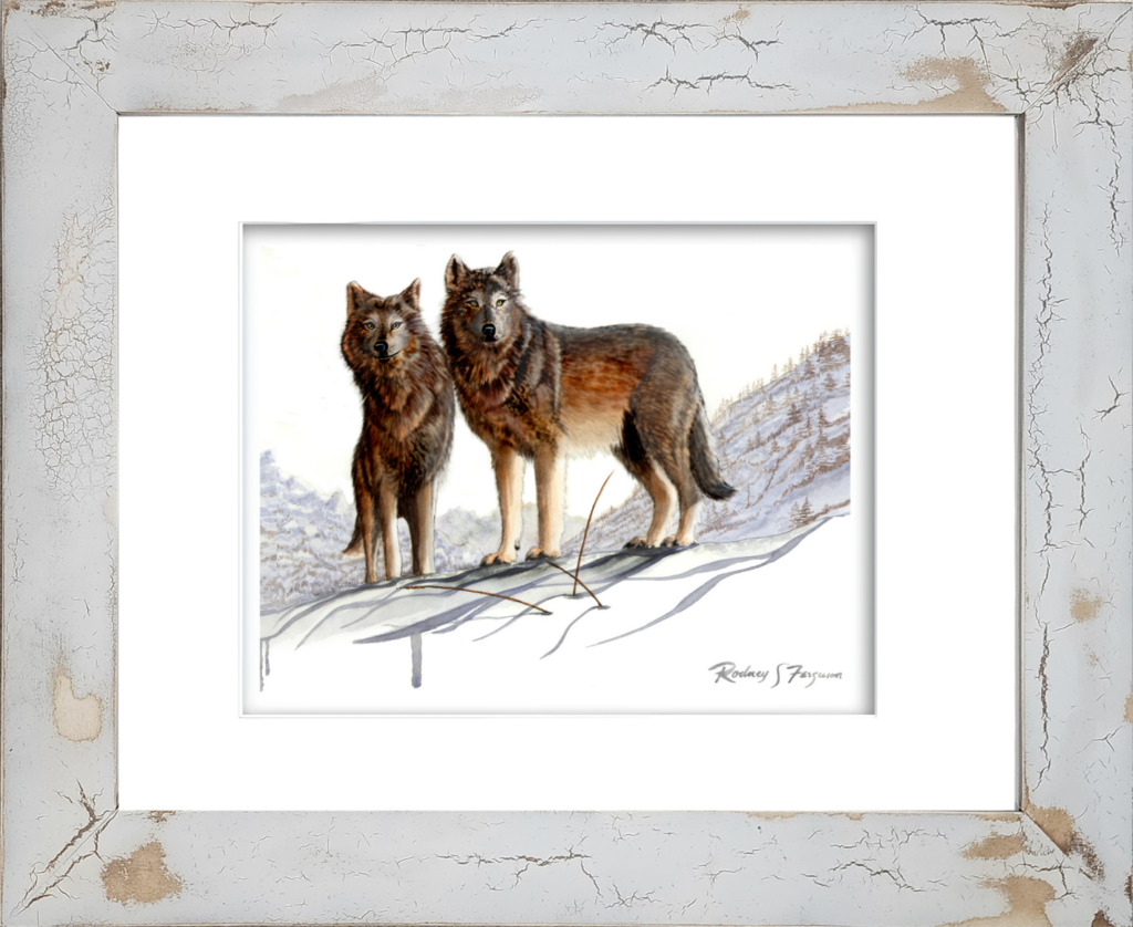 Watercolor giclée print of Alpha Timber Wolves, a male and female pair standing together on a vast Arctic tundra overlooking the landscape while watching for prey. Artwork by Rodney Ferguson, presented in a distressed and crackled handmade coastal frame with unique texture and weathered character.