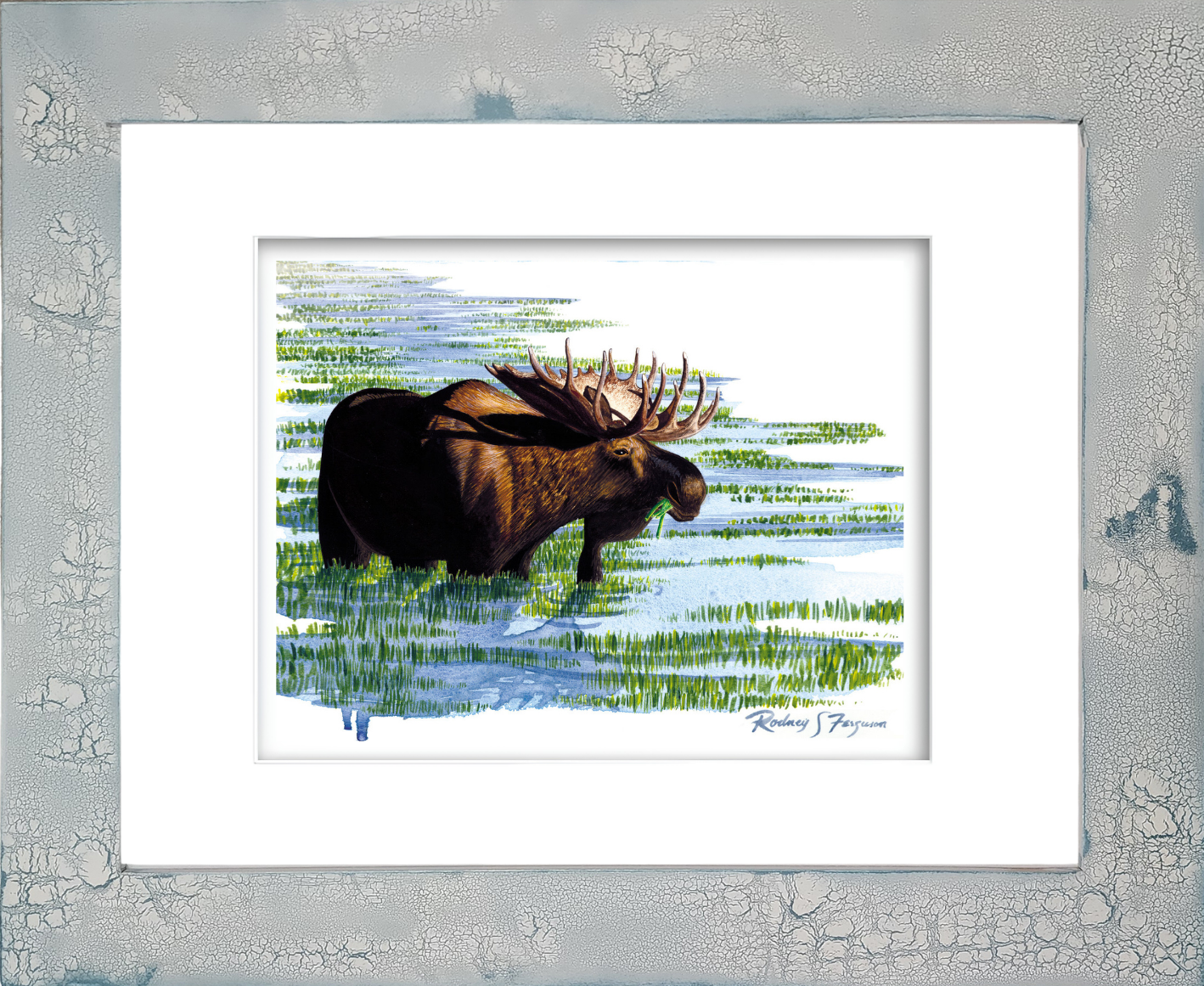 Watercolor giclée print of a majestic bull moose feeding among wetland reeds, mounted in a handmade distressed and crackled coastal frame with unique weathered textures and rustic artisan craftsmanship.