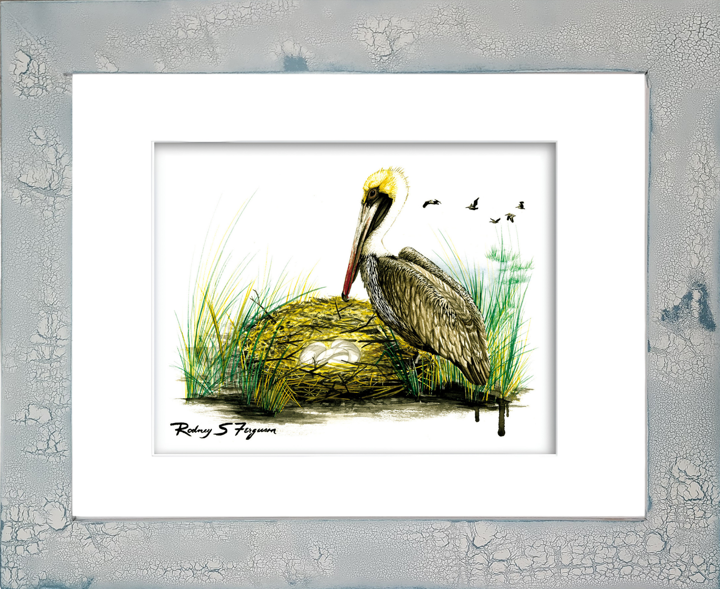 Brown Pelican watercolor giclée print by Rodney Ferguson featuring a nesting pelican watching over her eggs, displayed in a handcrafted distressed and crackled coastal frame with unique weathered textures inspired by seaside cottages.