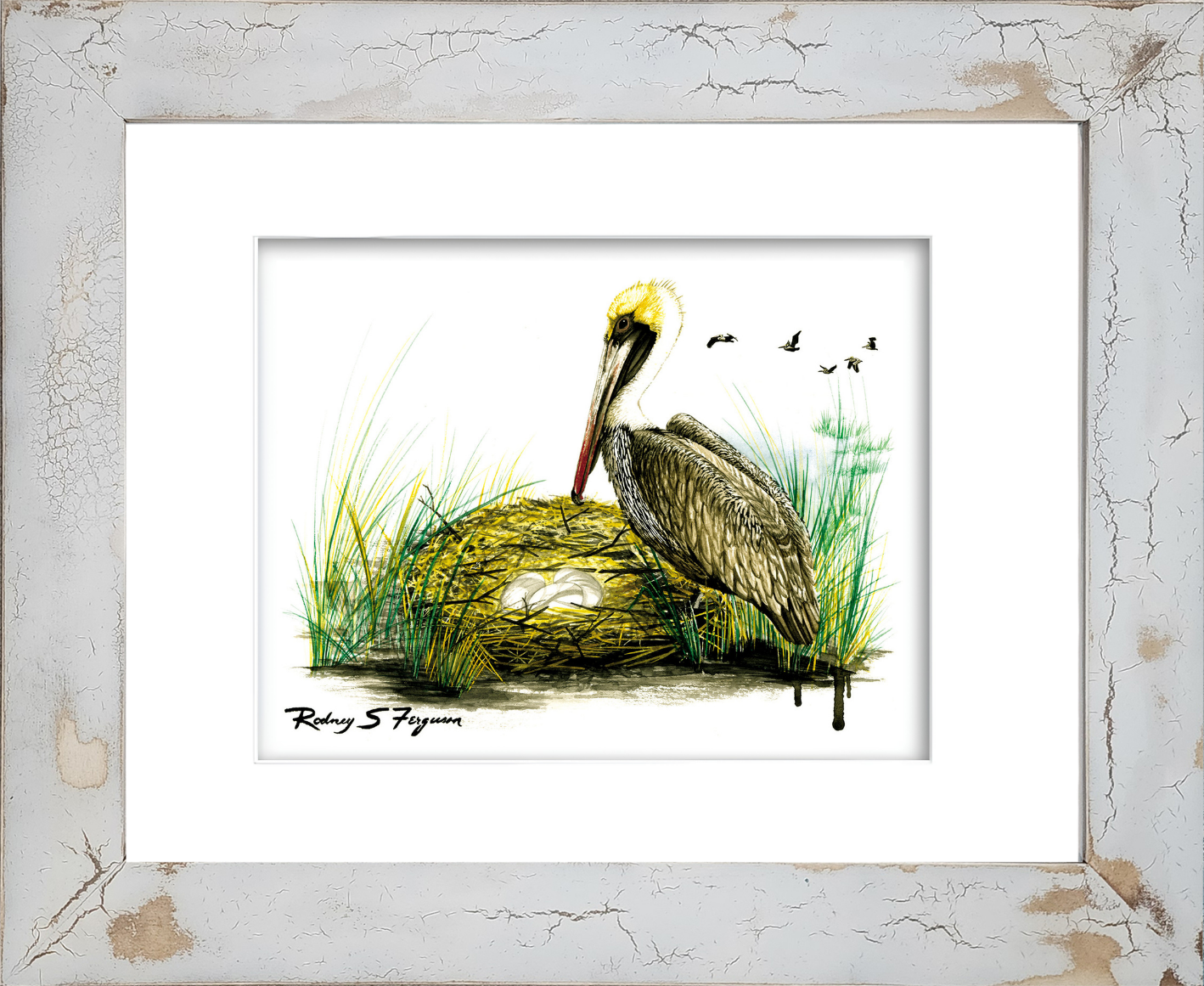 Brown Pelican watercolor giclée print by Rodney Ferguson featuring a nesting pelican watching over her eggs, displayed in a handcrafted distressed and crackled coastal frame with unique weathered textures inspired by seaside cottages.