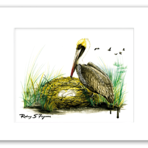 Brown Pelican nesting with eggs watercolor giclée print by Rodney Ferguson, professionally matted and printed on 100% archival, acid-free, colorfast fine art paper.