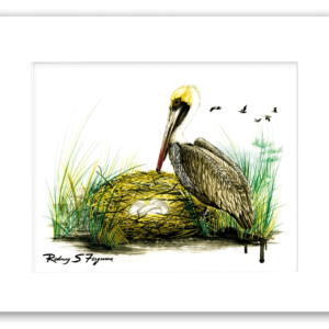 Brown Pelican nesting with eggs watercolor giclée print by Rodney Ferguson, professionally matted and printed on 100% archival, acid-free, colorfast fine art paper.