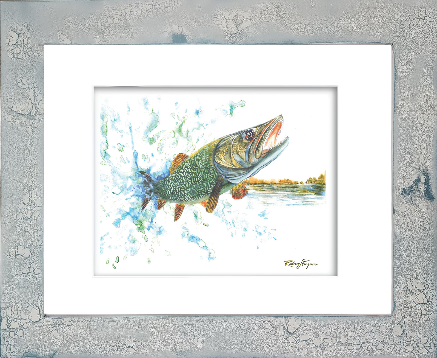 Rodney's watercolor giclée print of a powerful Northern Pike launching from a pristine mountain lake while violently shaking its head in an attempt to throw a fishing lure. Mounted in a handcrafted distressed and crackled coastal frame, this archival freshwater fishing artwork captures the excitement of angling and the raw power of one of North America's most aggressive predatory fish.