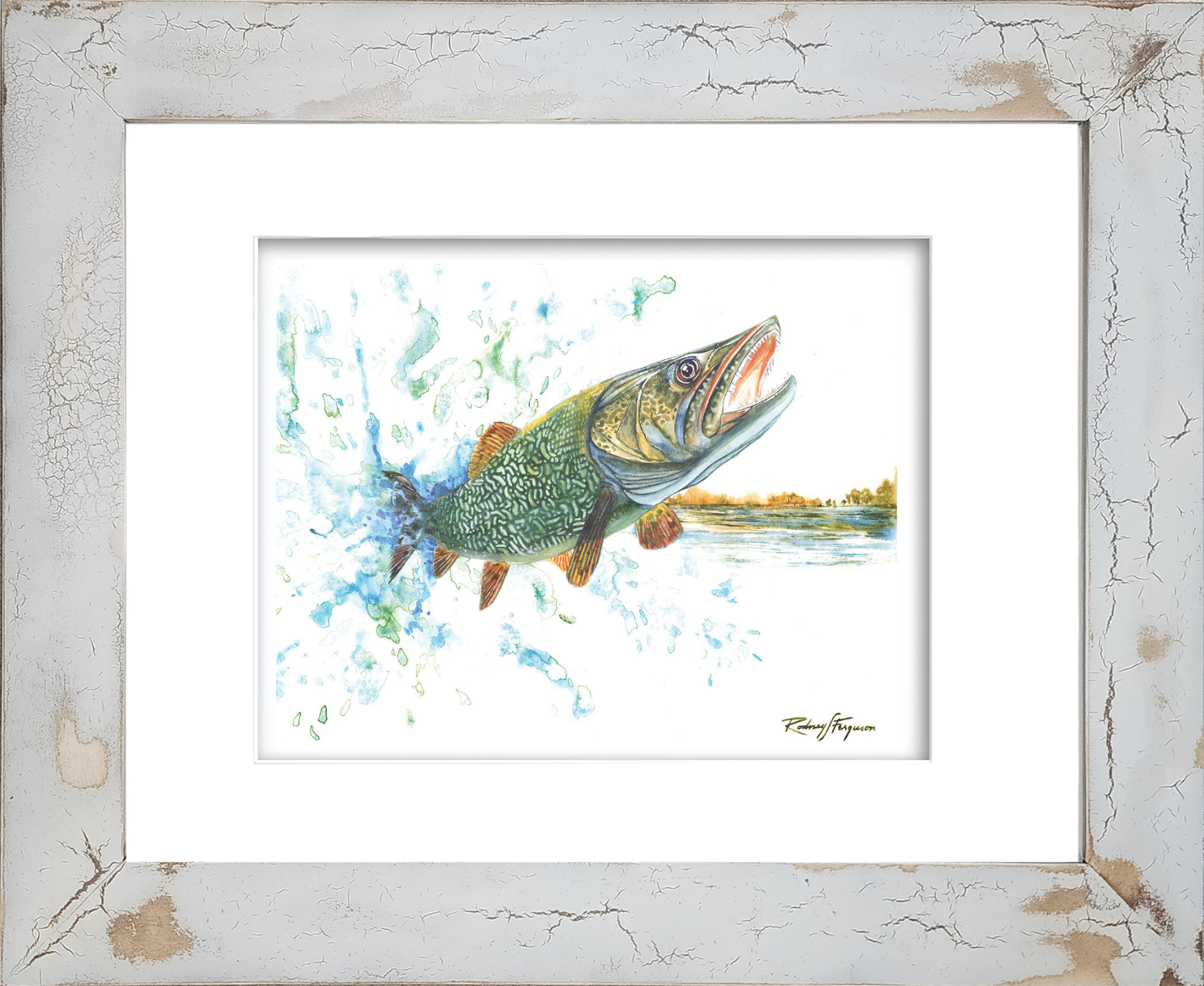 Rodney's watercolor giclée print of a powerful Northern Pike launching from a pristine mountain lake while violently shaking its head in an attempt to throw a fishing lure. Mounted in a handcrafted distressed and crackled coastal frame, this archival freshwater fishing artwork captures the excitement of angling and the raw power of one of North America's most aggressive predatory fish.