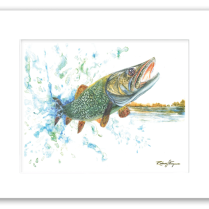 Rodney's watercolor giclée print of a Northern Pike leaping from a crystal-clear mountain lake while attempting to throw a fishing lure. Professionally matted and printed on 100% archival, acid-free, colorfast paper, this freshwater fishing artwork celebrates one of the world's most aggressive game fish.