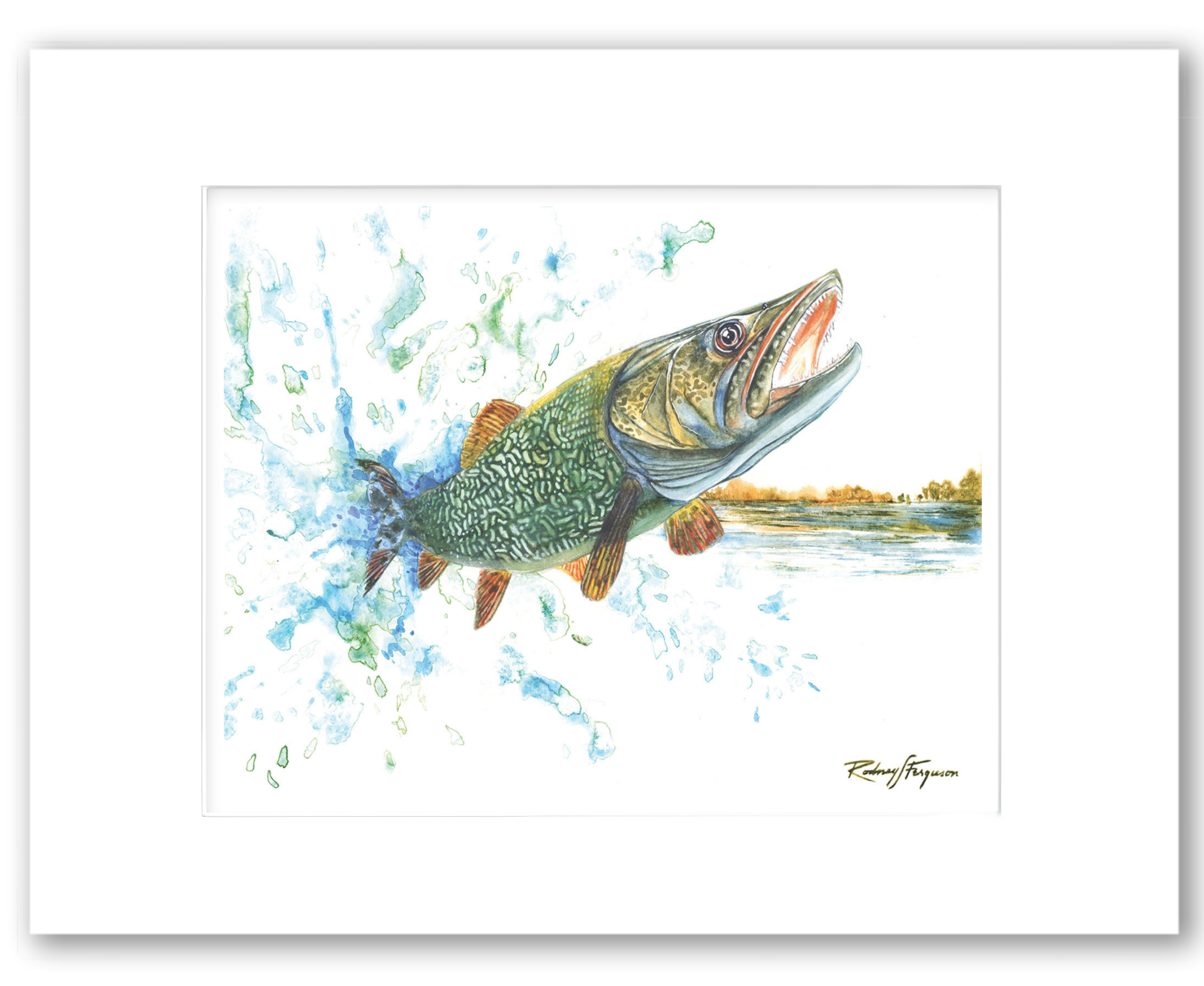 Northern Pike