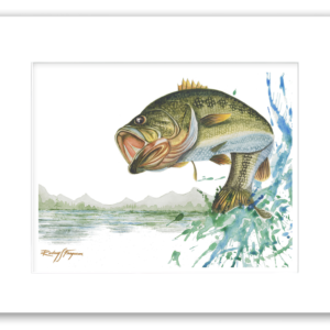 Rodney's watercolor giclée print of a Largemouth Bass leaping from a scenic freshwater lake, creating a dramatic splash against a beautiful shoreline backdrop. Professionally matted and printed on 100% archival, acid-free, colorfast paper, this fishing artwork celebrates one of the world's most sought-after game fish.