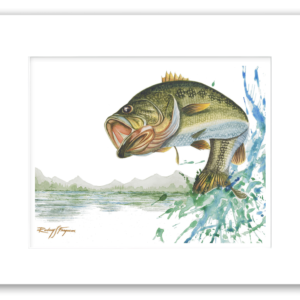 Rodney's watercolor giclée print of a Largemouth Bass leaping from a scenic freshwater lake, creating a dramatic splash against a beautiful shoreline backdrop. Professionally matted and printed on 100% archival, acid-free, colorfast paper, this fishing artwork celebrates one of the world's most sought-after game fish.