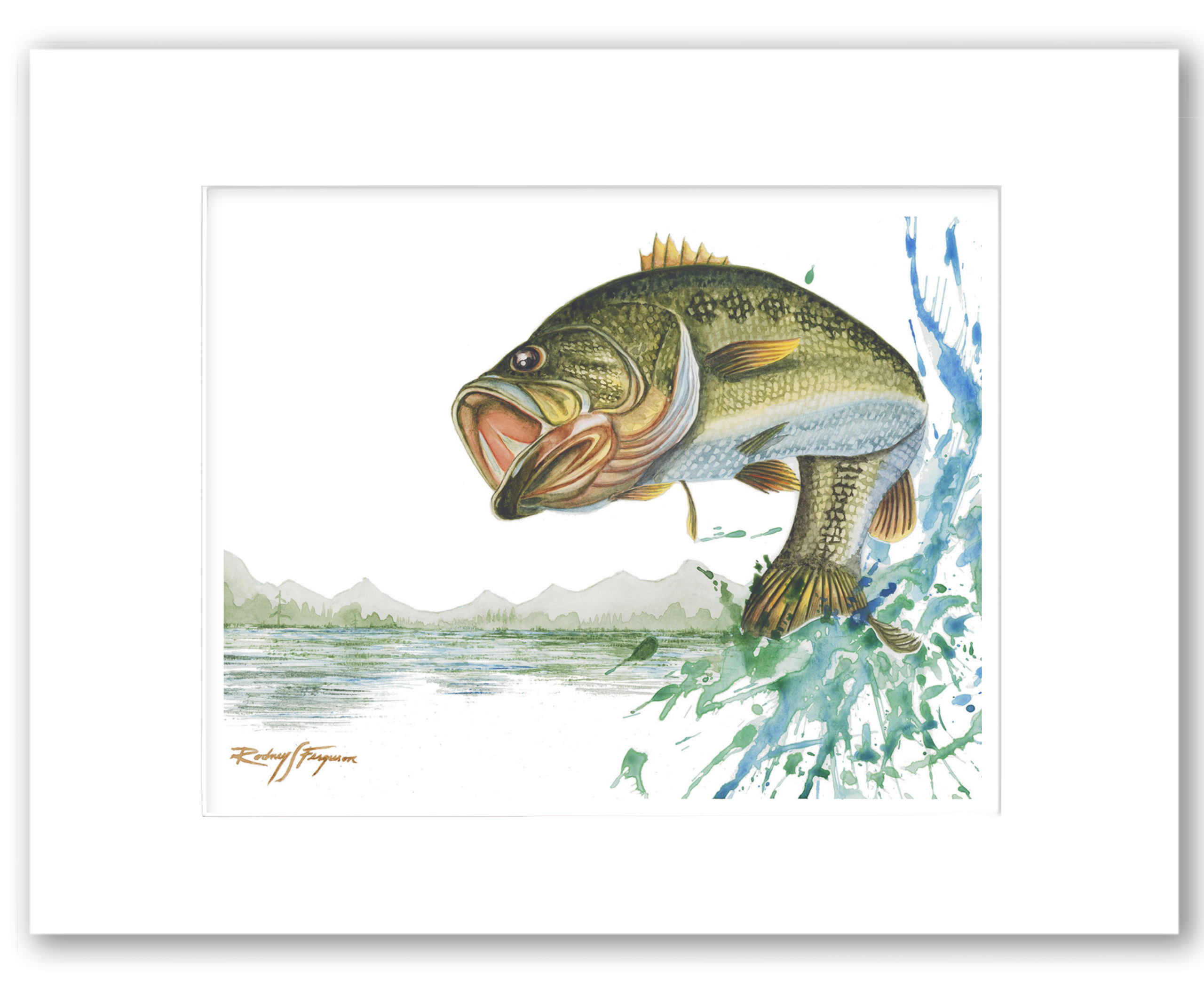 Largemouth Bass