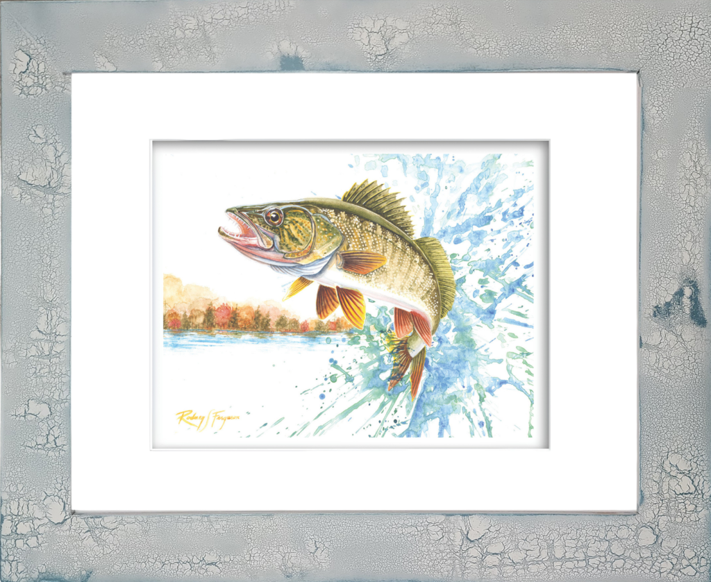 Watercolor giclée print of a Northern Walleye leaping across a tranquil lake, surrounded by vibrant autumn foliage and distant mountain scenery. Mounted in Rodney Ferguson's handmade distressed and crackled coastal frame, featuring unique weathered textures and artisan craftsmanship. Archival-quality fishing and wildlife artwork celebrating freshwater sportfishing, fall landscapes, and rustic lake lodge décor.