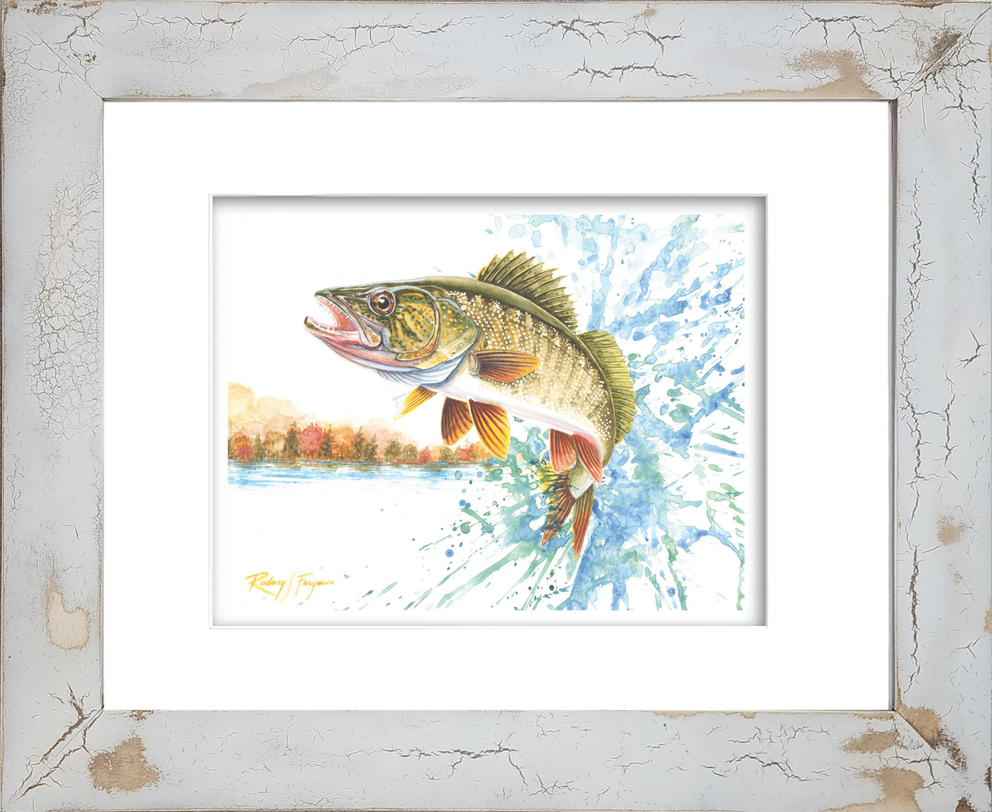 Watercolor giclée print of a Northern Walleye leaping across a tranquil lake, surrounded by vibrant autumn foliage and distant mountain scenery. Mounted in Rodney Ferguson's handmade distressed and crackled coastal frame, featuring unique weathered textures and artisan craftsmanship. Archival-quality fishing and wildlife artwork celebrating freshwater sportfishing, fall landscapes, and rustic lake lodge décor.