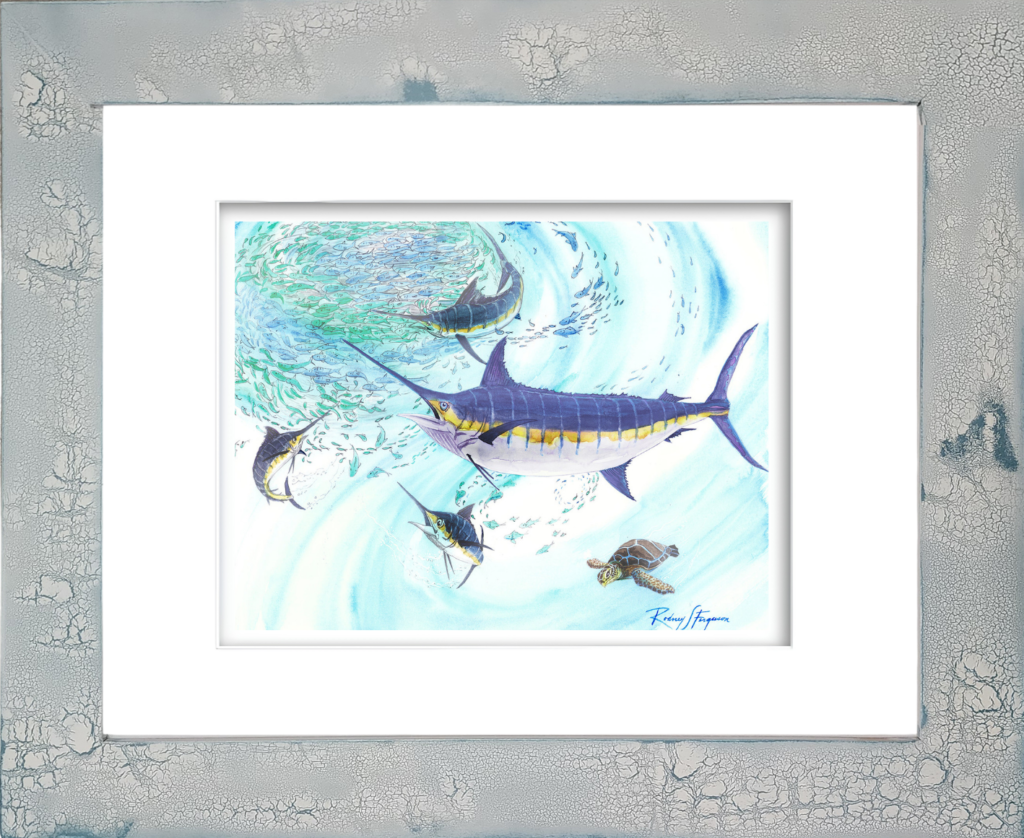 Rodney Ferguson watercolor giclée print featuring a powerful pelagic Blue Marlin aggressively attacking a swirling bait ball, churning the ocean surface in a feeding frenzy while a green sea turtle calmly swims away beneath the action. Mounted in a handmade distressed and crackled coastal wood frame, each frame uniquely textured and weathered. Printed on 100% archival, acid-free, colorfast paper for lasting coastal and marine wildlife décor.