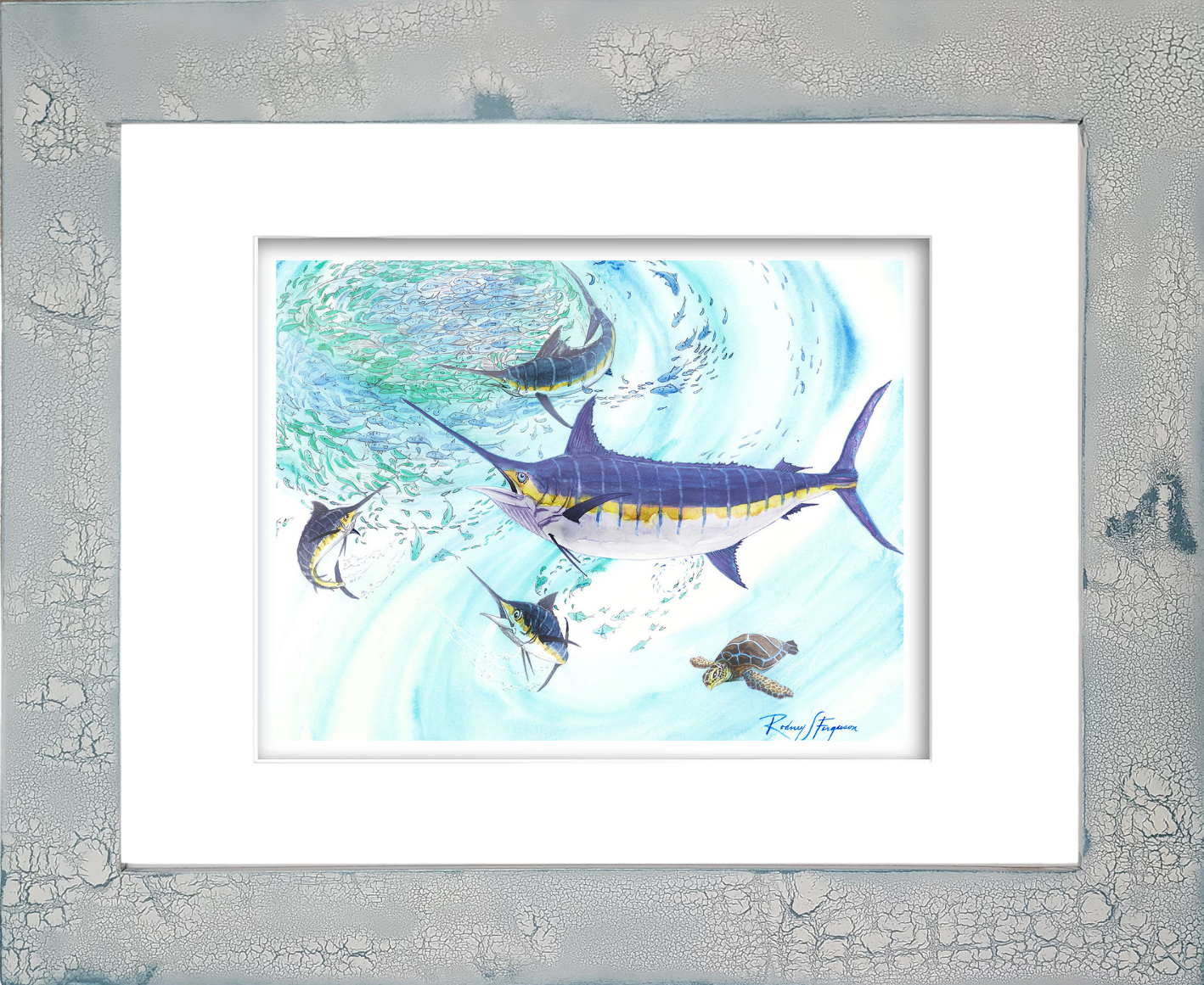 Rodney Ferguson watercolor giclée print featuring a powerful pelagic Blue Marlin aggressively attacking a swirling bait ball, churning the ocean surface in a feeding frenzy while a green sea turtle calmly swims away beneath the action. Mounted in a handmade distressed and crackled coastal wood frame, each frame uniquely textured and weathered. Printed on 100% archival, acid-free, colorfast paper for lasting coastal and marine wildlife décor.