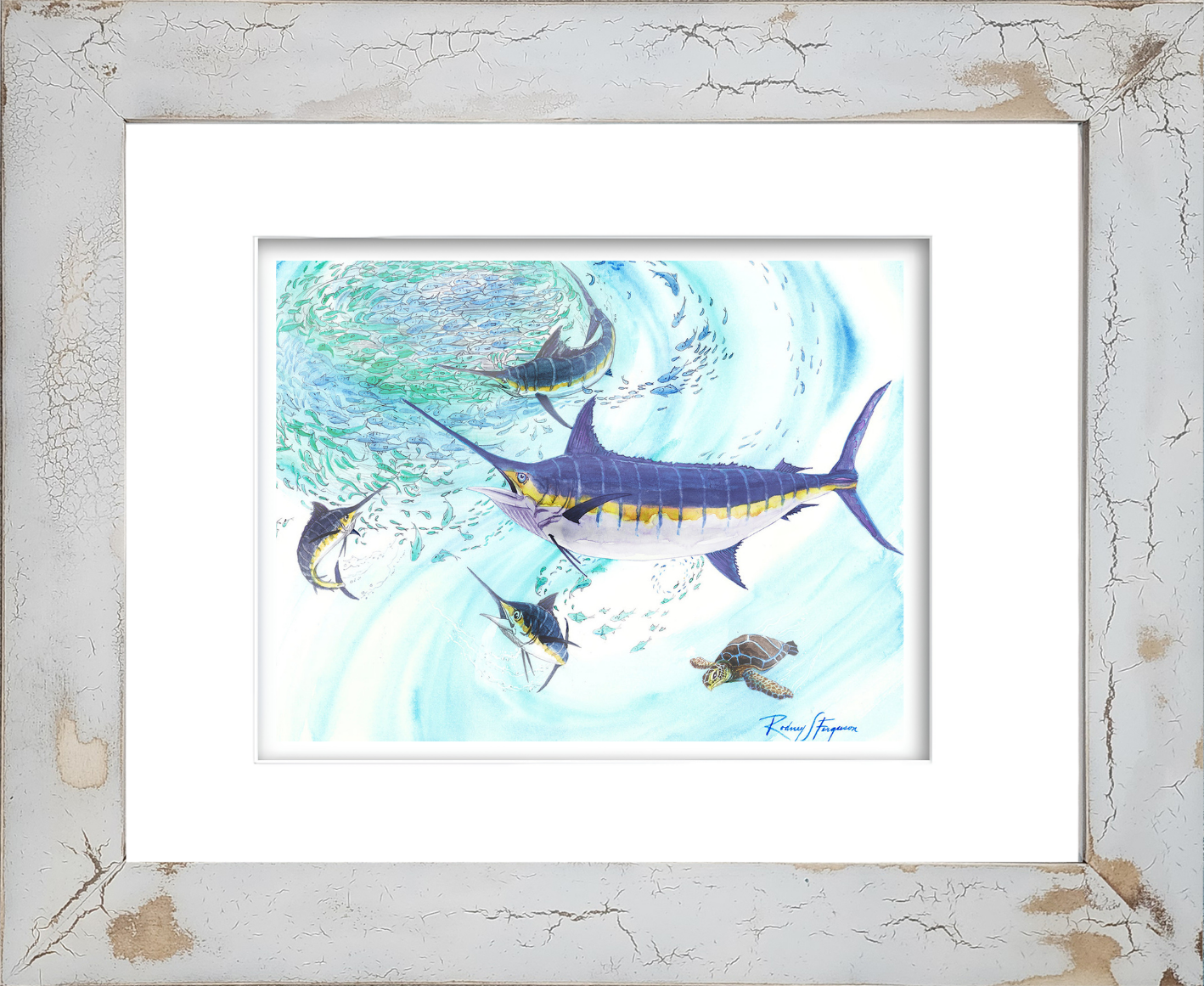 Rodney Ferguson watercolor giclée print featuring a powerful pelagic Blue Marlin aggressively attacking a swirling bait ball, churning the ocean surface in a feeding frenzy while a green sea turtle calmly swims away beneath the action. Mounted in a handmade distressed and crackled coastal wood frame, each frame uniquely textured and weathered. Printed on 100% archival, acid-free, colorfast paper for lasting coastal and marine wildlife décor.
