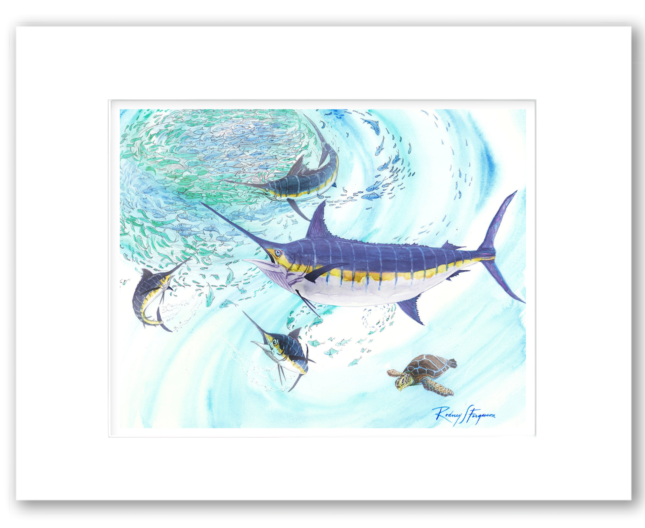Rodney Ferguson watercolor giclée print of a Blue Marlin attacking a bait ball in an offshore feeding frenzy while a green sea turtle swims peacefully nearby. Professionally matted and printed on 100% archival, acid-free, colorfast paper, showcasing vibrant marine wildlife and sportfishing artwork.