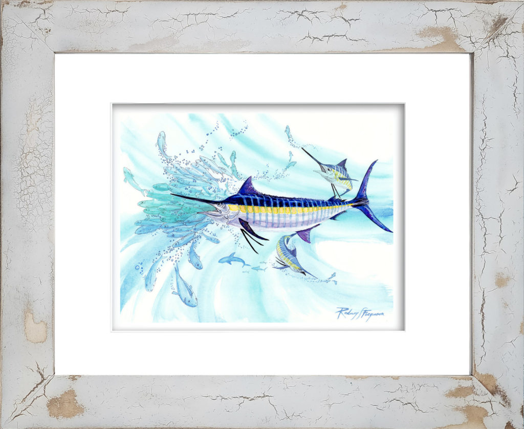 Rodney Ferguson's watercolor giclée print featuring a giant pelagic Black Marlin charging through a swirling bait ball of baitfish in the open ocean, mounted in a distressed and crackled handmade coastal frame. Printed on archival, colorfast, acid-free paper, this marine wildlife artwork captures the power, speed, and predatory nature of one of the ocean's most sought-after big game fish.