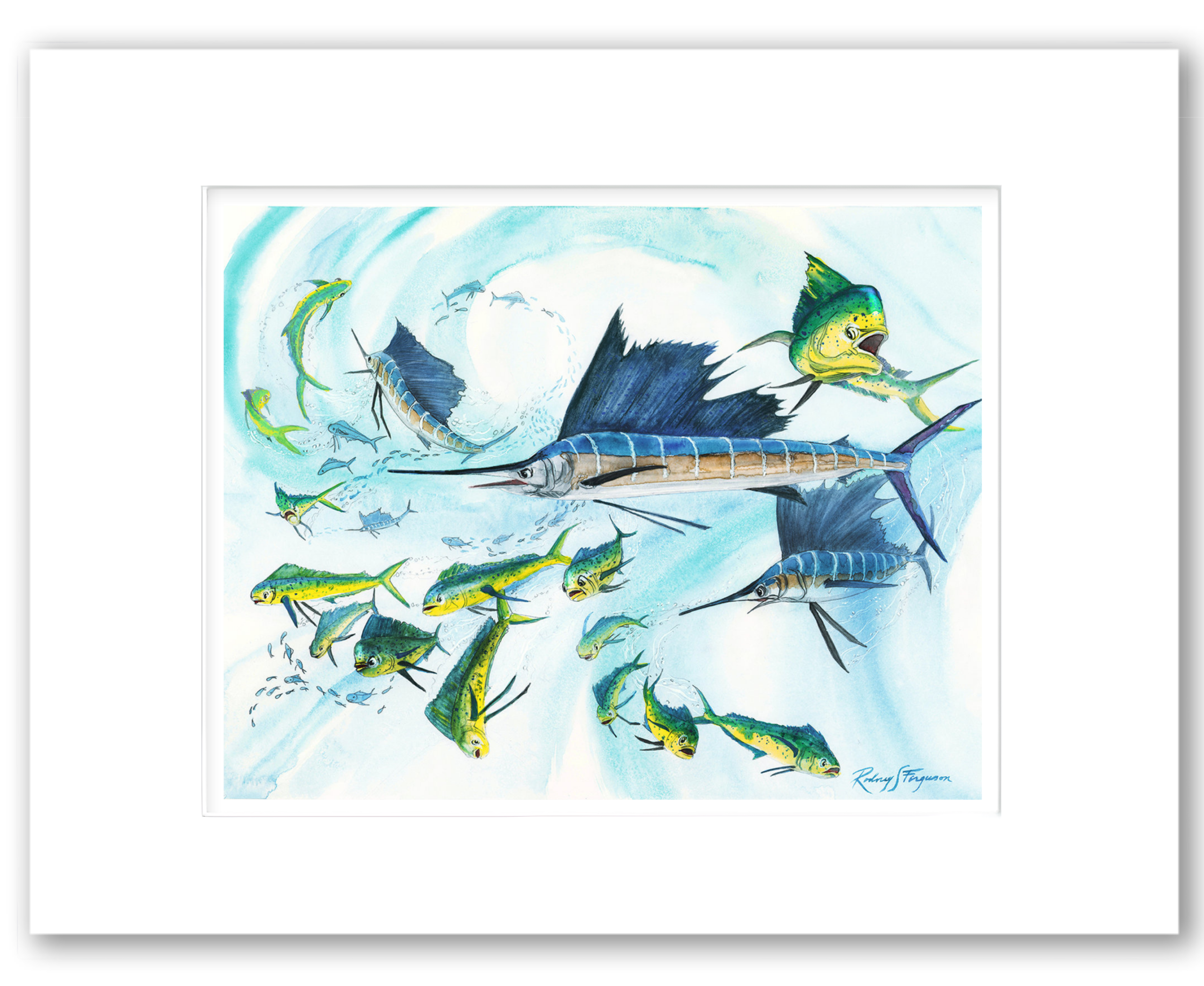 Rodney Ferguson watercolor giclée print of pelagic sailfish feeding on a bait ball while mahi mahi and offshore game fish gather nearby, professionally single matted and printed on archival acid-free paper.