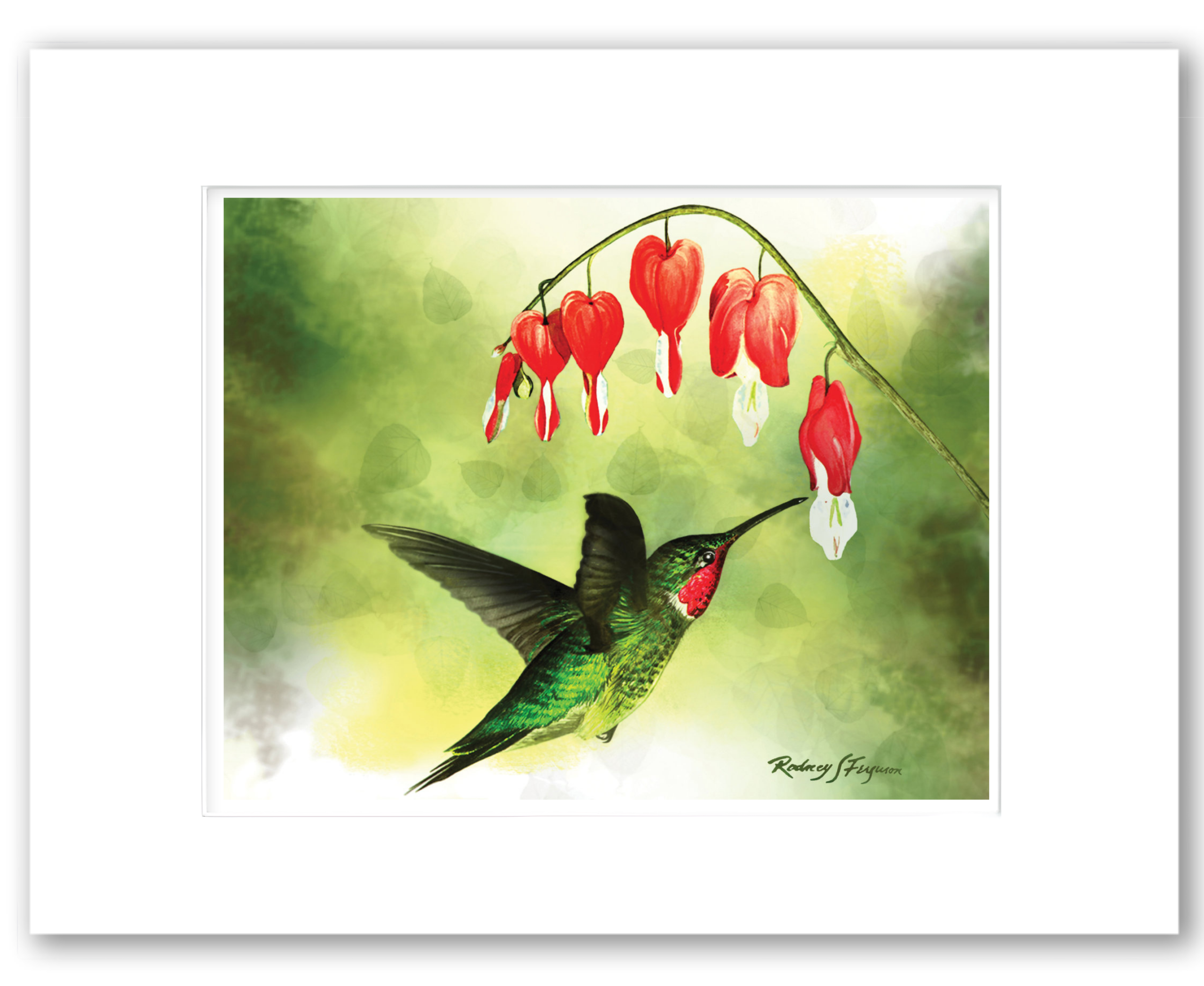 Ruby Throat Hummingbird