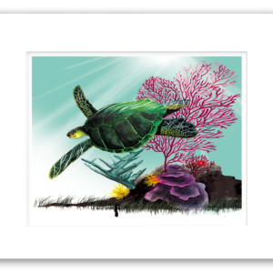 Rodney's watercolor giclée print of a Green Sea Turtle swimming peacefully alongside vibrant coral reefs and colorful ocean fauna. Professionally matted and printed on 100% archival, acid-free, colorfast paper, this marine wildlife artwork celebrates tropical ocean ecosystems and sea turtle conservation.