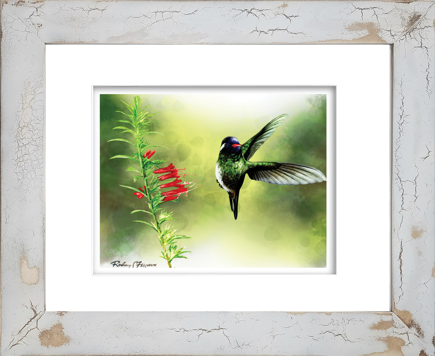 White-Cheeked hummingbird feeding from vibrant red-orange Fire Bush blossoms in Rodney Ferguson's watercolor giclée print, beautifully displayed in a distressed and crackled handmade coastal frame. Each artisan frame features unique textures, patterns, and weathered finishes, making every piece one of a kind.