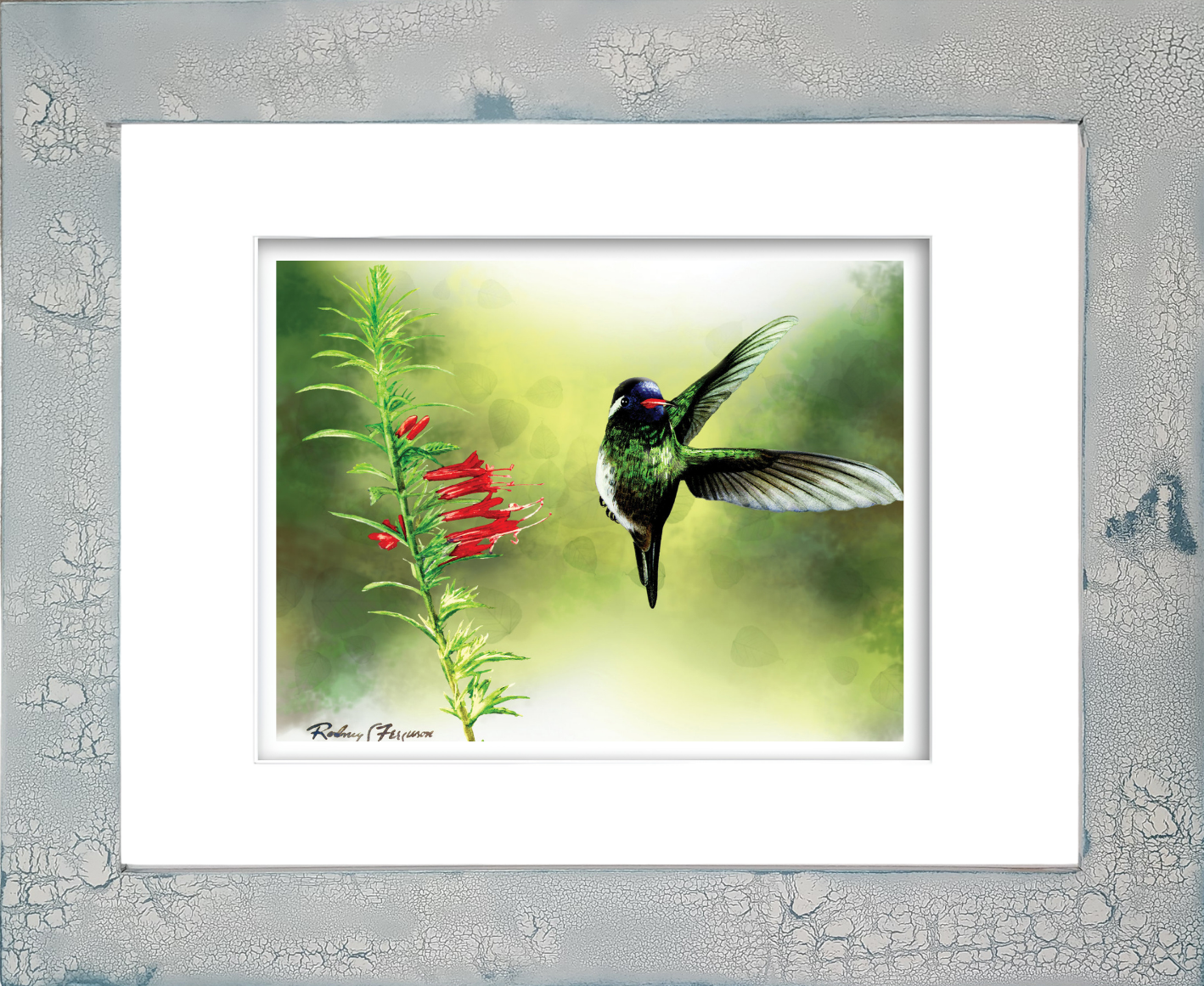 White-Cheeked Hummingbird