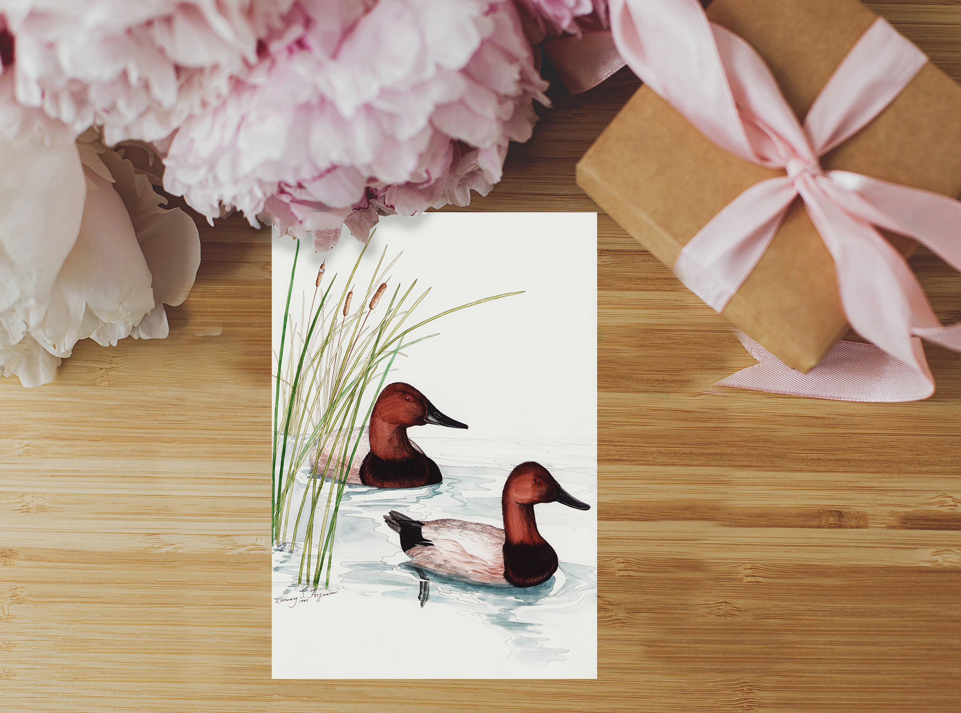 Tent-fold notecard featuring Rodney Ferguson's original watercolor artwork of Canvasback Ducks, printed on premium archival, acid-free cardstock. The reverse includes a brief biography of the Canvasback Duck, its life history, habitat, migration, interesting wildlife facts, and conservation organization links for helping preserve North America's wetlands and migratory birds. The inside is left blank for your personal message. Packaged as a gift assortment with five different bird image cards and five matching envelopes.