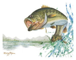 Freshwater Fish Cards (5)