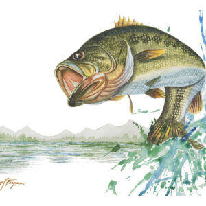 Rodney Ferguson Freshwater Game Fish Collection tent-fold notecard set featuring five original watercolor paintings of the Largemouth Bass, Rainbow Trout, Muskellunge (Musky), Northern Walleye, and Northern Pike. Printed on premium archival, acid-free, colorfast cardstock, each 4x5-inch tent-fold card features stunning freshwater fish artwork on the front, an educational species biography on the back, a blank interior for personal messages, and includes five matching envelopes.